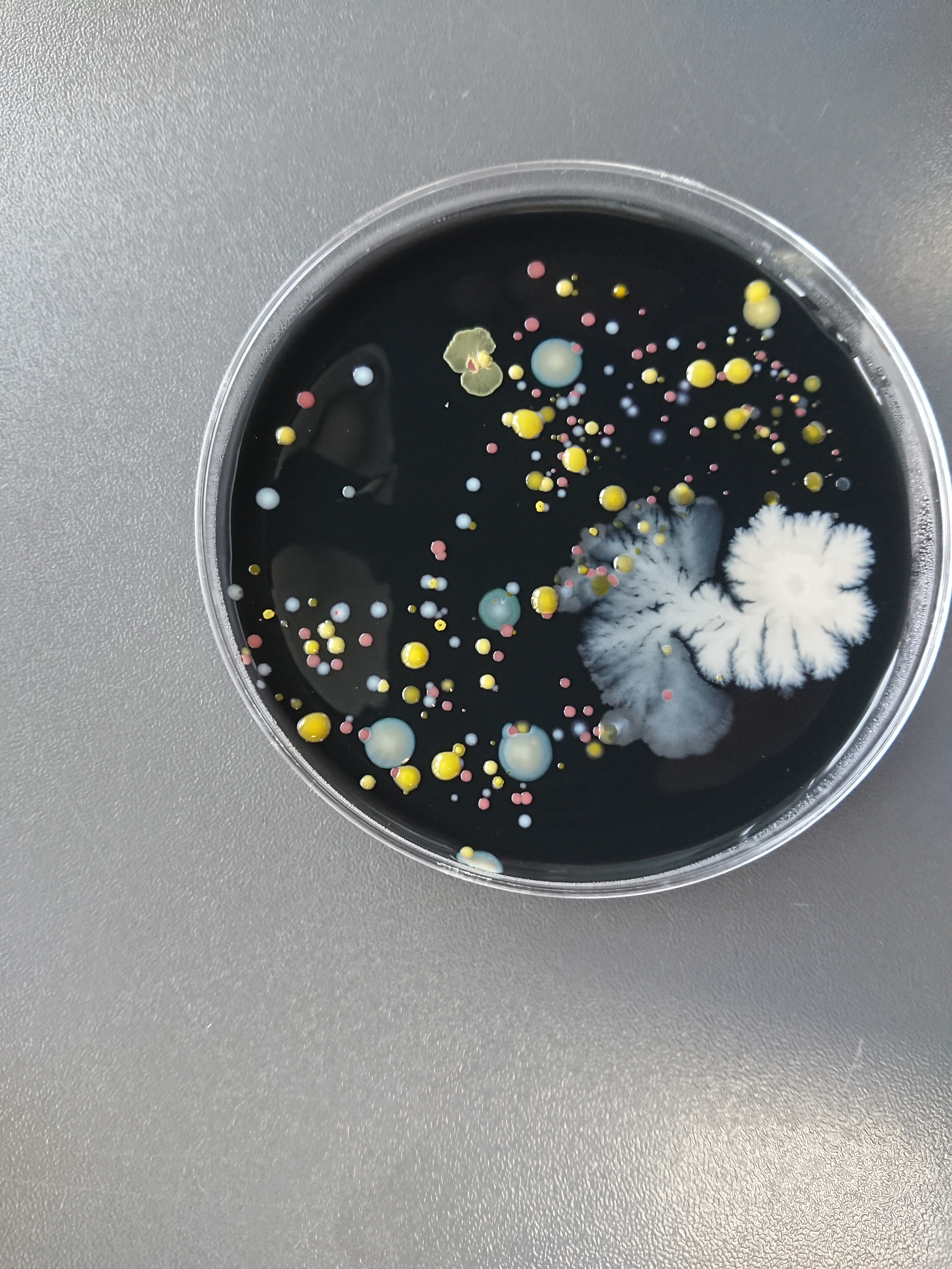 Shutterstock_1501249292