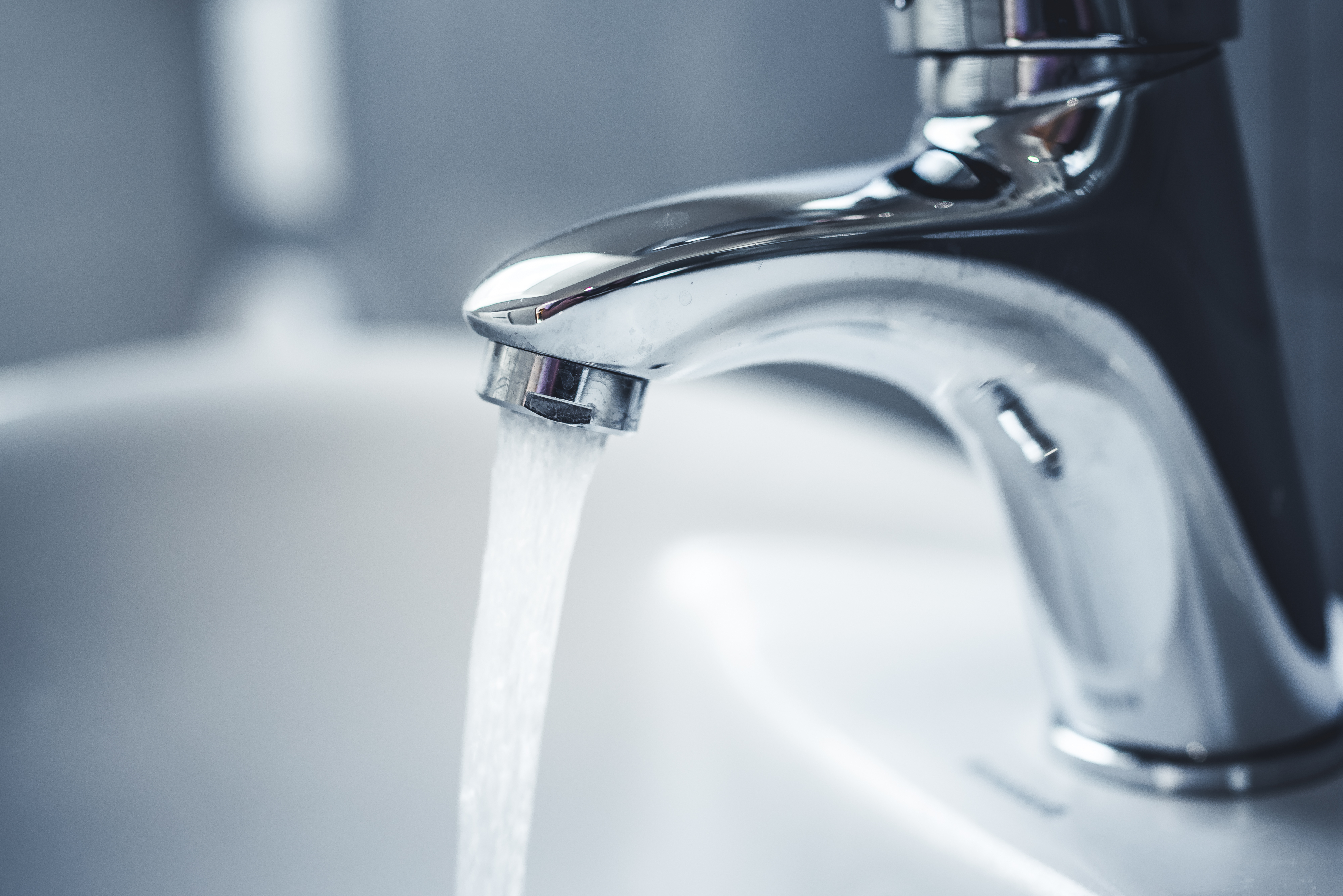 Shutterstock_1633733491